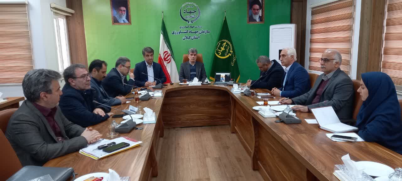 کلکسیون بین المللی زیتون در گیلان،  فرصت حفظ و نگهداری ارقام این محصول